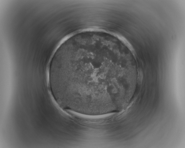 X0000114121295200910131355