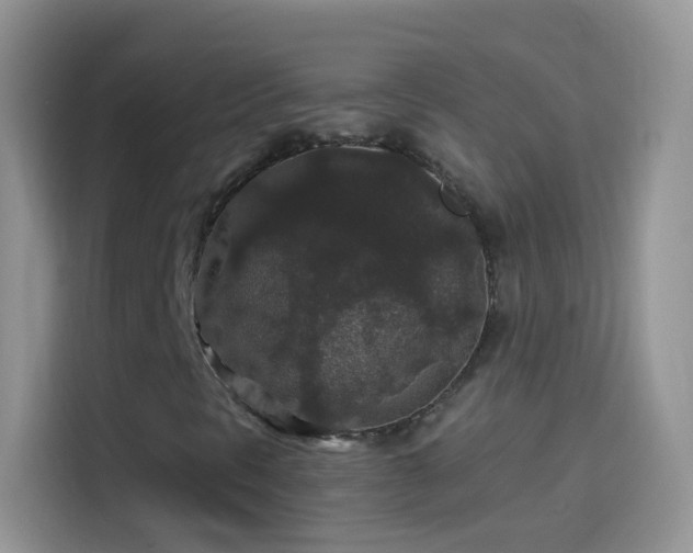 X0000114121297200910131355