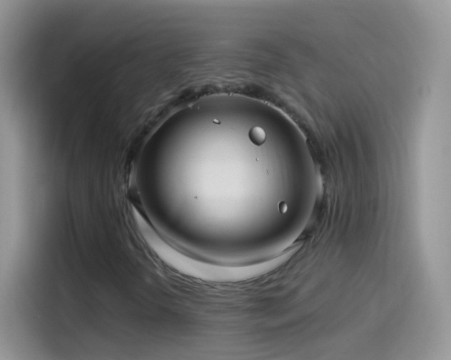 X0000114121298200910131355