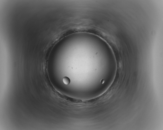 X0000114121300200910131355