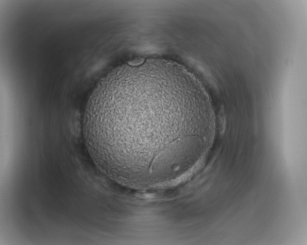 X0000114121301200910131355