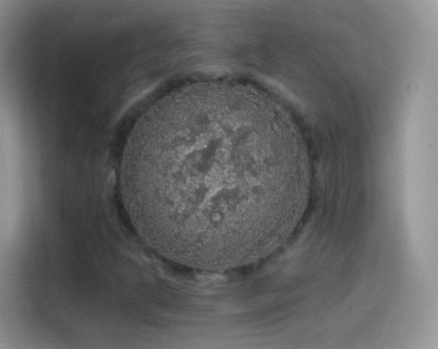 X0000114121302200910131355