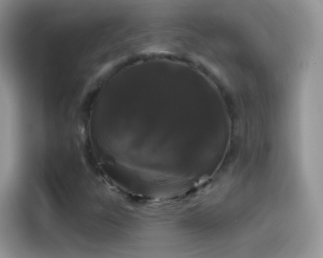 X0000114121303200910131355