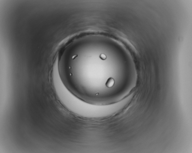 X0000114121304200910131355