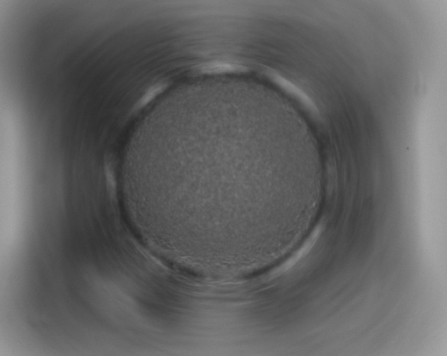 X0000114121305200910131355