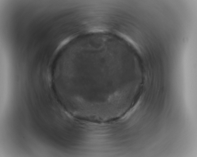 X0000114121306200910131355