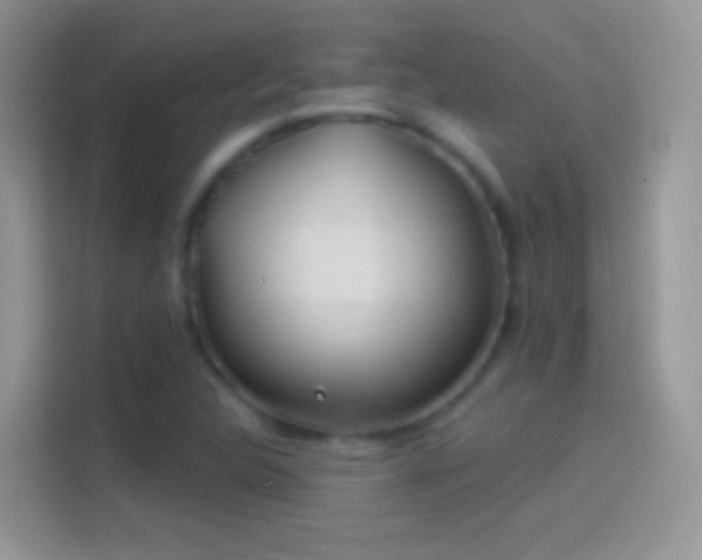 X0000114121312200910131355