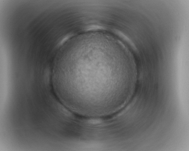 X0000114121313200910131355