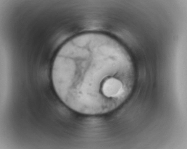 X0000114121314200910131355