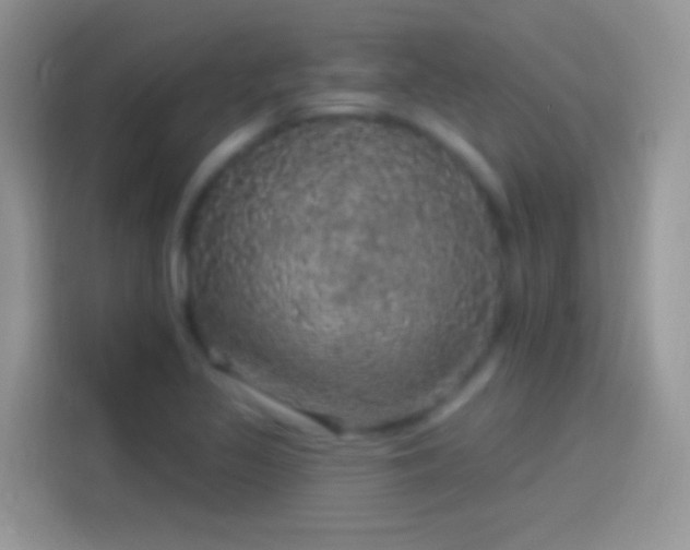 X0000114121317200910131355