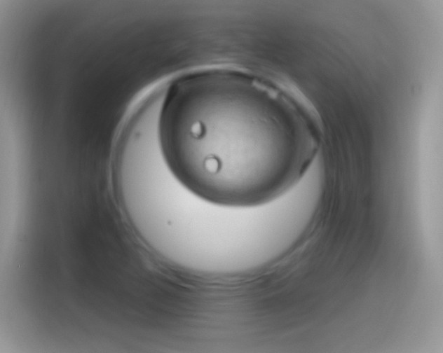 X0000114121320200910131355