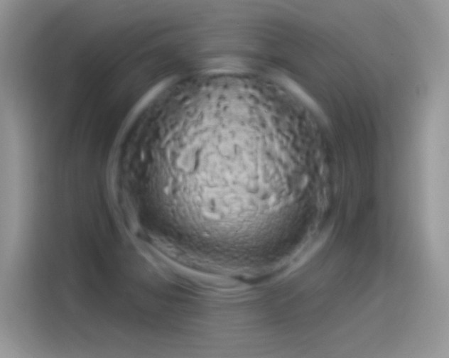 X0000114121325200910131355