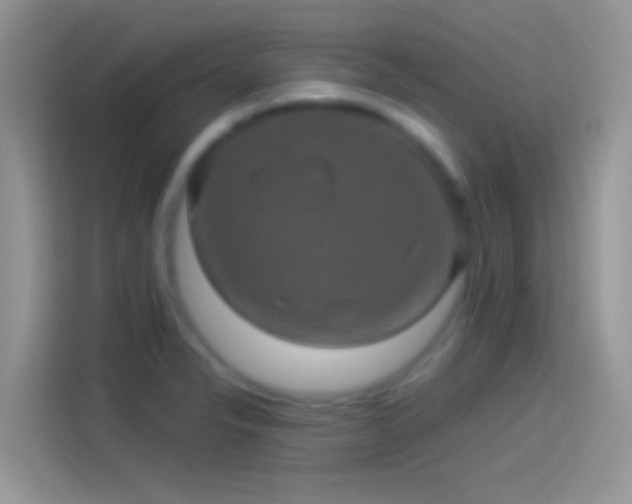 X0000114121326200910131355