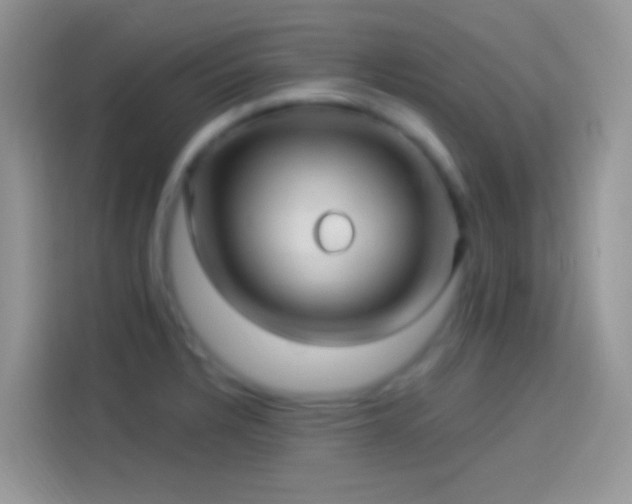 X0000114121328200910131355