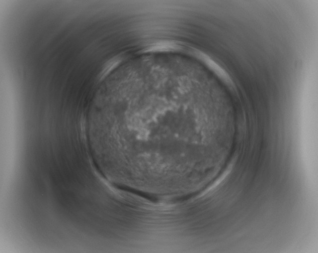 X0000114121329200910131355