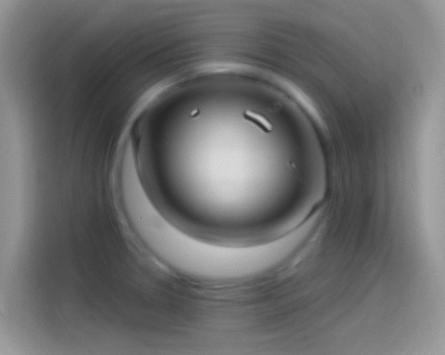 X0000114121330200910131355