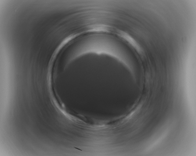 X0000114121331200910131355