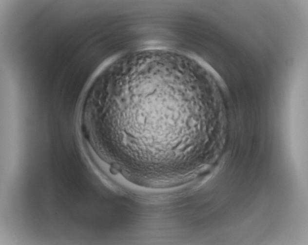 X0000114121333200910131355