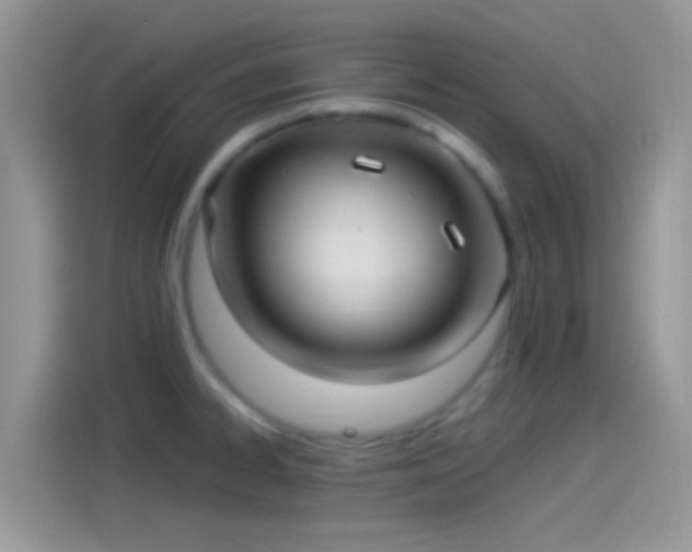 X0000114121334200910131355