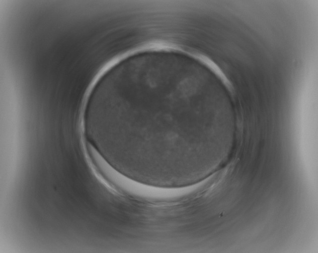 X0000114121335200910131355