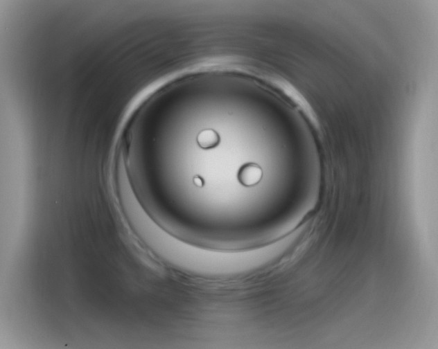 X0000114121336200910131355