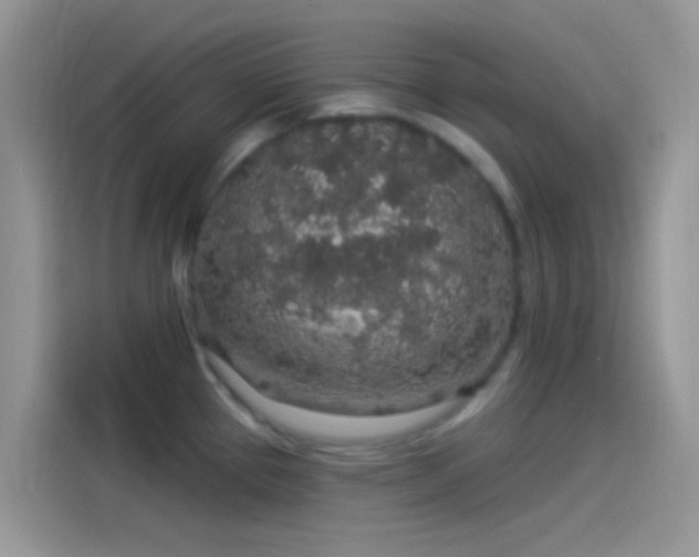 X0000114121337200910131355