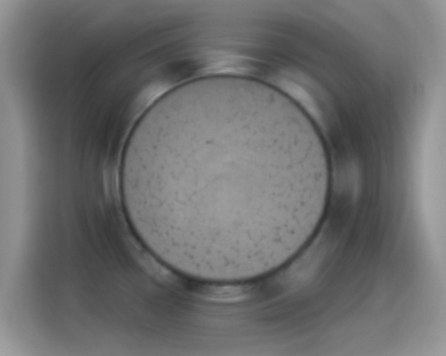 X0000114121338200910131355