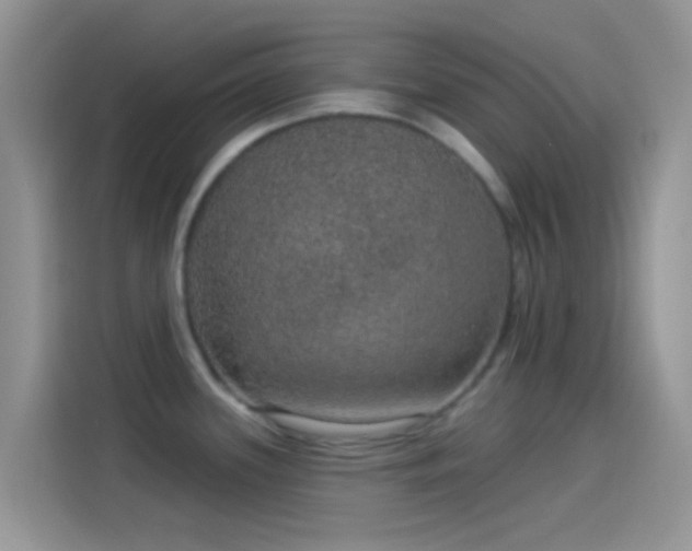 X0000114121339200910131355