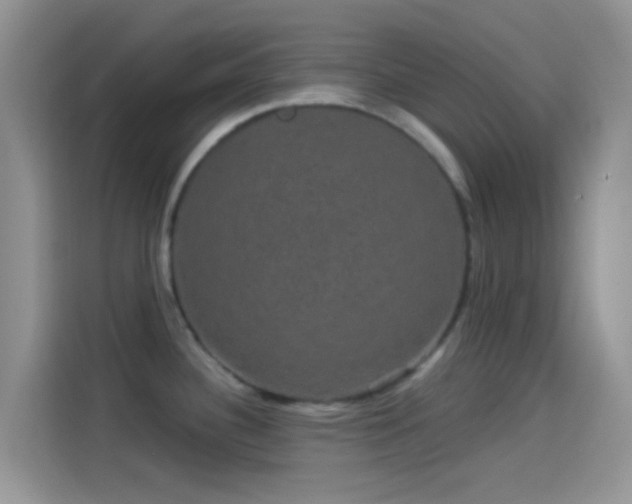 X0000114121340200910131355