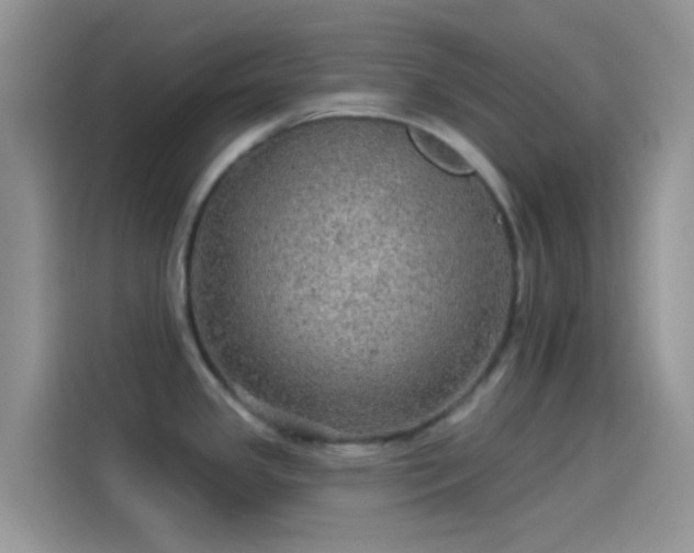 X0000114121341200910131355