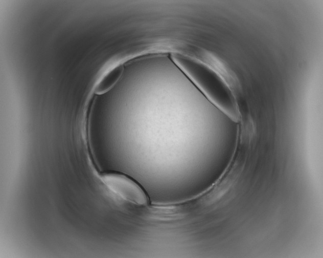 X0000114121342200910131355