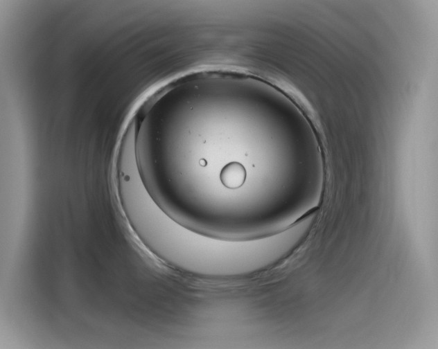 X0000114121344200910131355