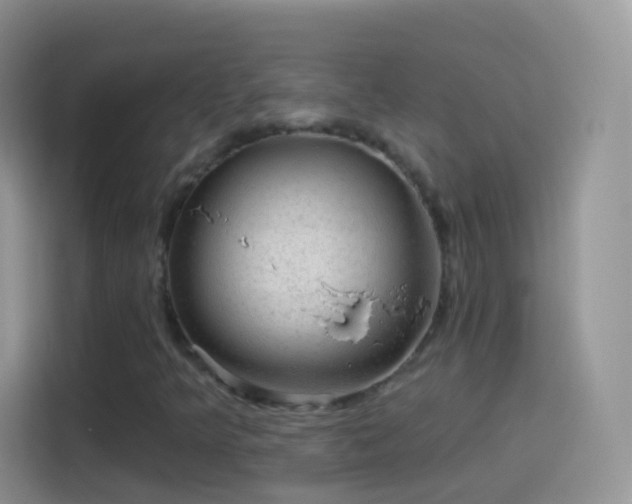 X0000114121349200910131354