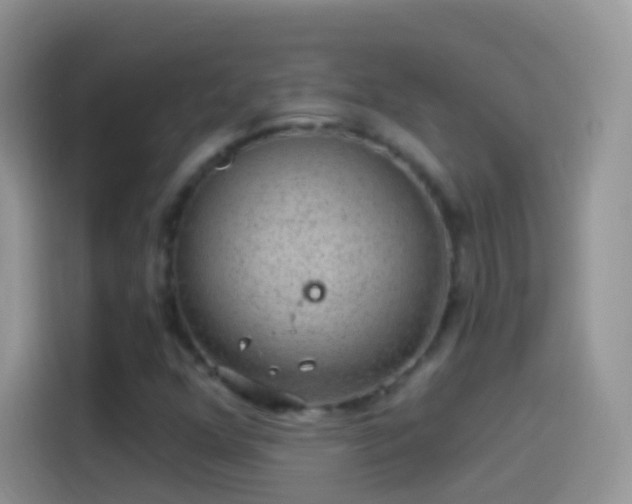 X0000114121352200910131354