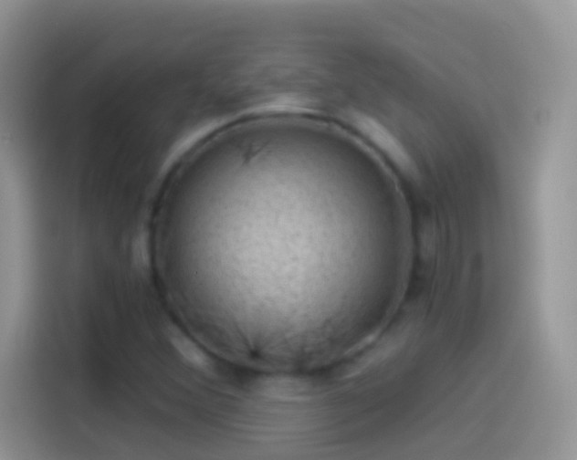 X0000114121356200910131354