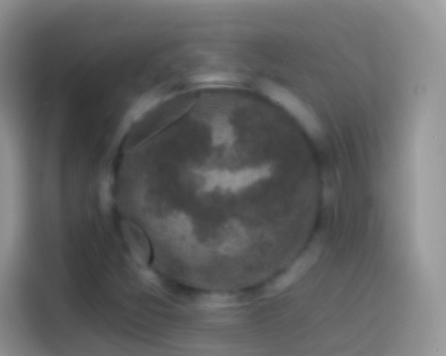 X0000114121357200910131354