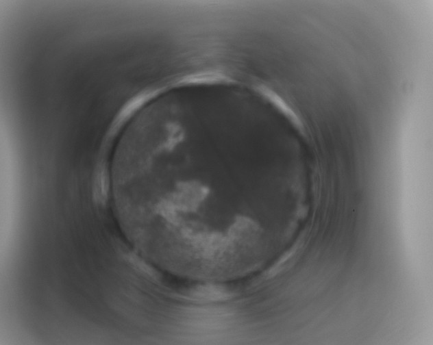 X0000114121358200910131354