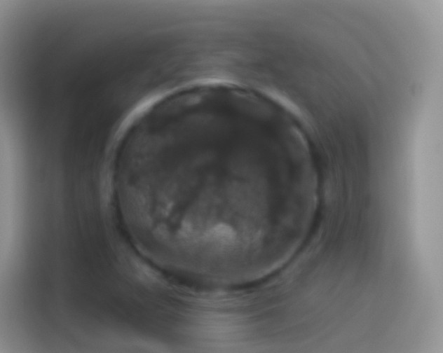 X0000114121359200910131354