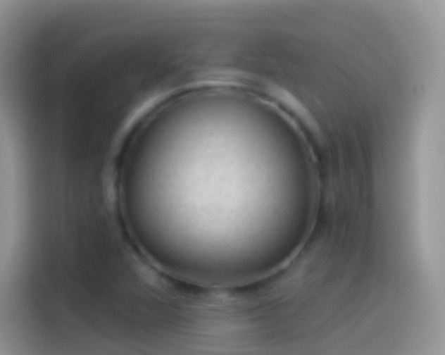 X0000114121360200910131354