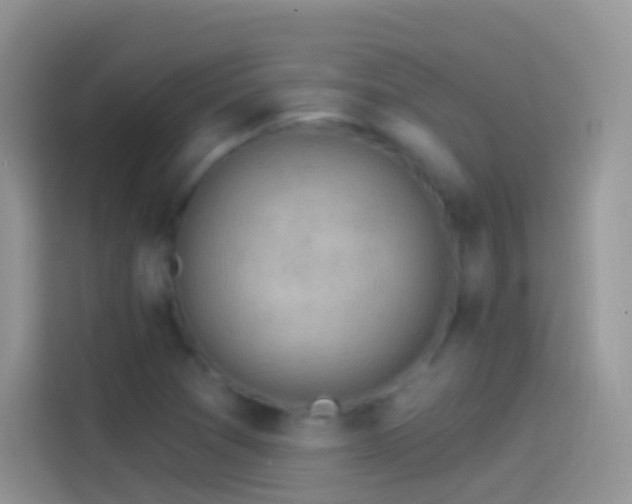 X0000114121361200910131354