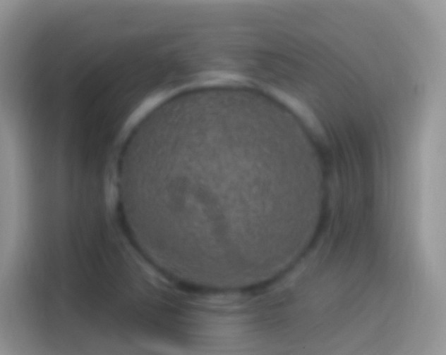 X0000114121363200910131354