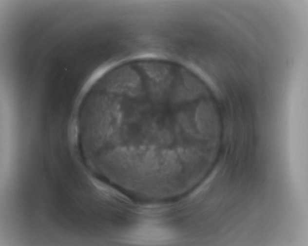 X0000114121367200910131354