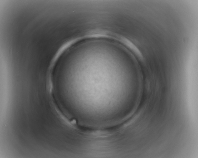 X0000114121368200910131354