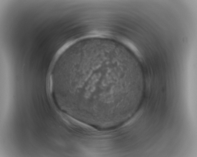 X0000114121371200910131354