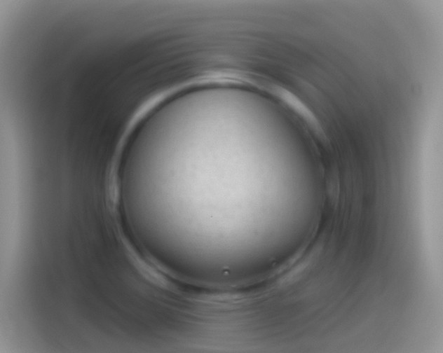 X0000114121372200910131354