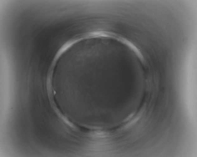 X0000114121373200910131354