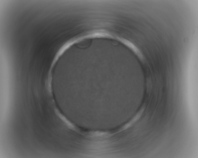 X0000114121374200910131354