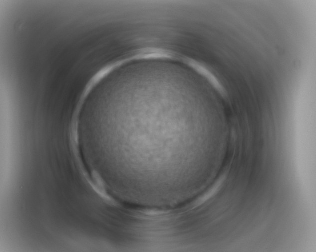 X0000114121375200910131354