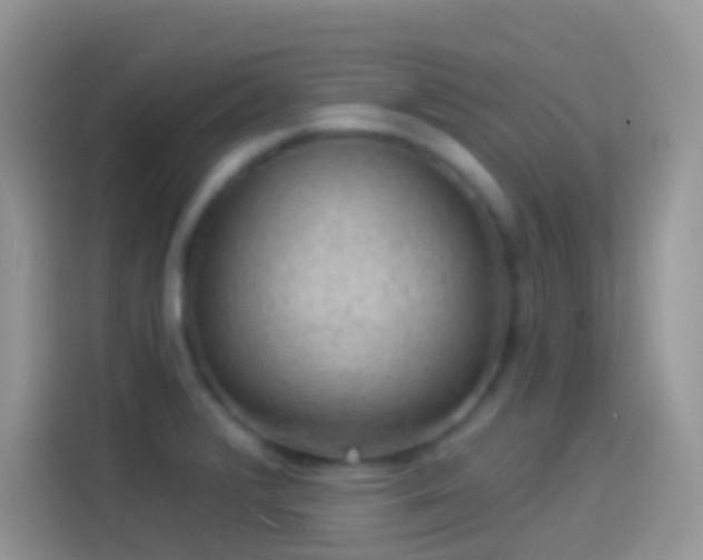 X0000114121376200910131354