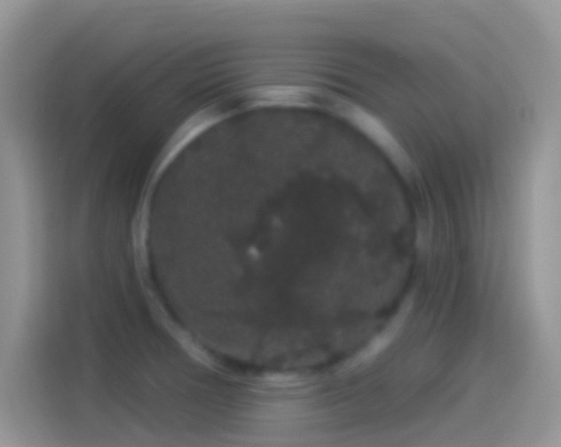 X0000114121378200910131354